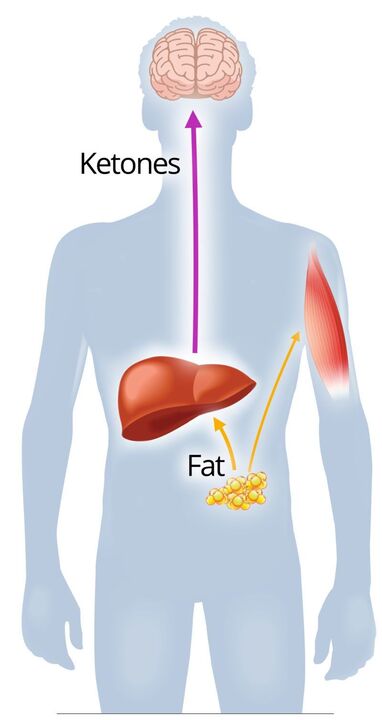 Ketose med NexaSlim